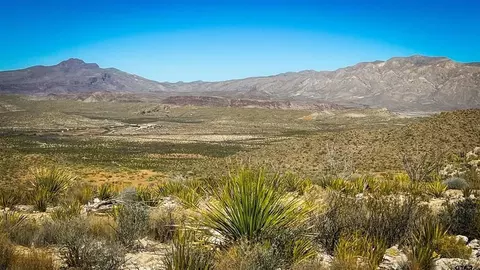 21419 Garnet Ave, Terlingua, TX 79852