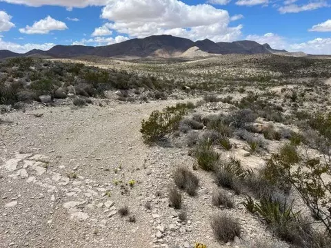 21231 Slate Spgs, Terlingua, TX 79852