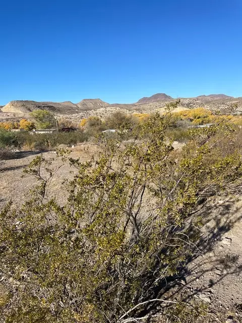 tbd Russell St, Shafter, TX 79843