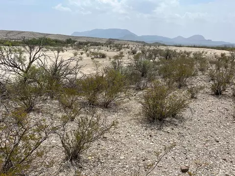 20865 Ivy Ln, Terlingua, TX 79852