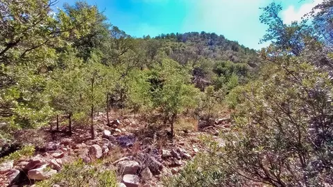 311 Colleen Canyon Trl, Fort Davis, TX 79734