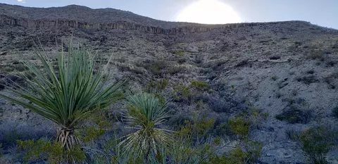 1 Red Fox Rd, Terlingua, TX 79852