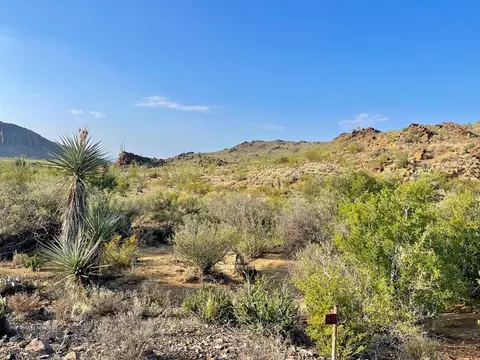 53040 S Hwy 118, Terlingua, TX 79852