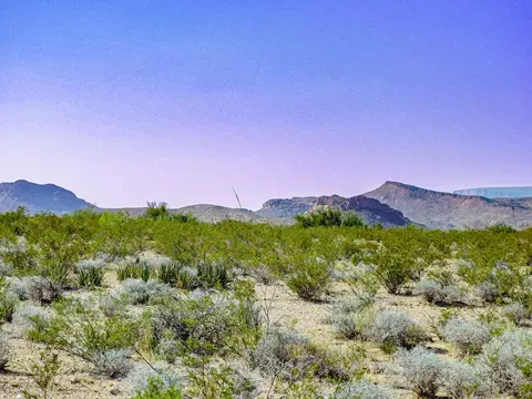 300 Ltm Rd, Terlingua, TX 79852 photo 5