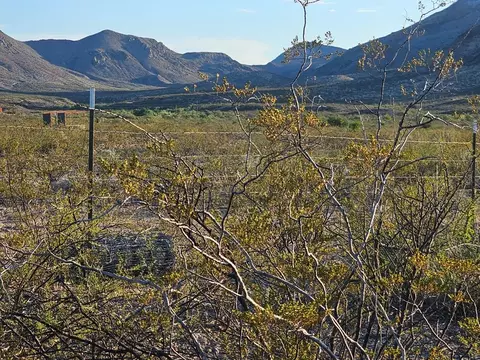 701 W Worry Wort Ave, Terlingua, TX 79852