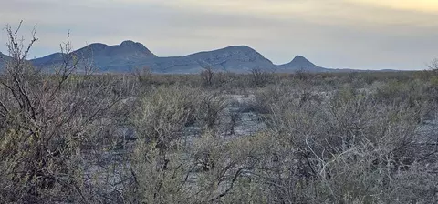 Nc434 Sons Of Liberty Rd, Terlingua, TX 79852