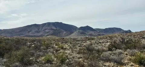 75 Slate Spgs, Terlingua, TX 79852