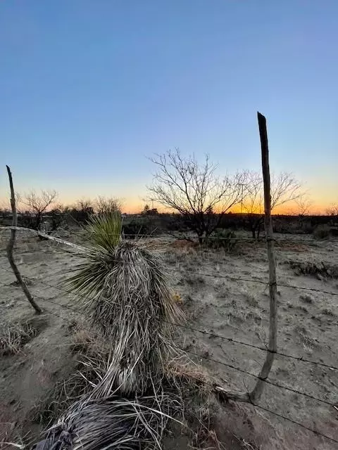 1000 W Central Dr, Marfa, TX 79843 photo 4