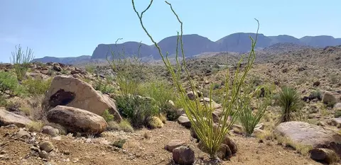 184 Black Hill Rd, Terlingua, TX 79852