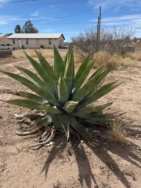 504 E Mendias St, Marfa, TX 79843 photo 2