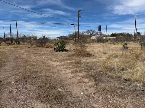 504 E Mendias St, Marfa, TX 79843 photo 5