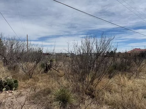 504 E Mendias St, Marfa, TX 79843 photo 6