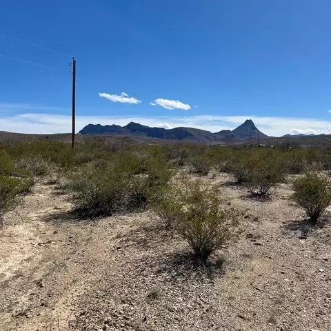31466 Ringtail Rd, Terlingua, TX 79852
