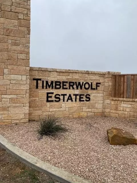 3613 Timber Wolf Tr, Midland, TX 79705