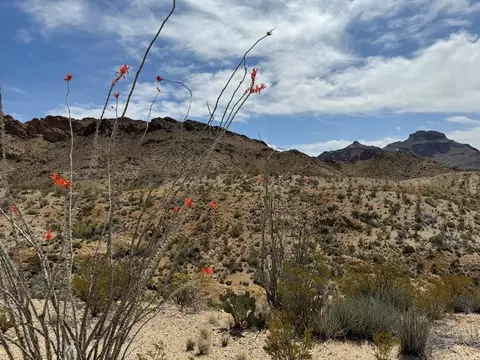 Tr 42 Gate 2 Road, Terlingua, TX 79852