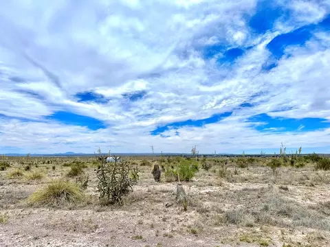2233 Rabbit Rd, Marfa, TX 79843 photo 3