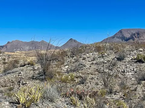 2687 Hermans Peak Road, Terlingua, TX 79852
