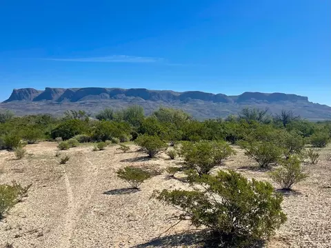 Tr 4464 Private Rd, Terlingua, TX 79852
