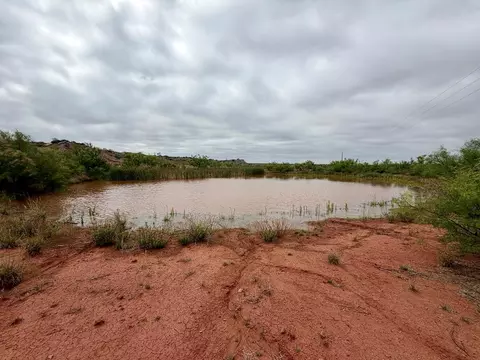 17074 E County Rd 16, Coahoma, TX 79511