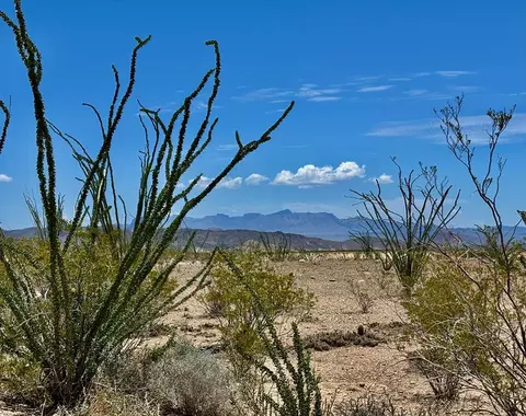 2294 Saltgrass St # -A, Terlingua, TX 79852