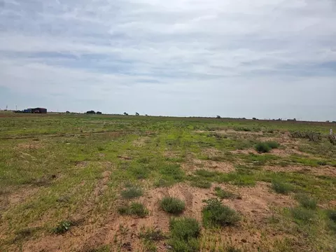2018 Reinland Rd, Brownfield, TX 79316