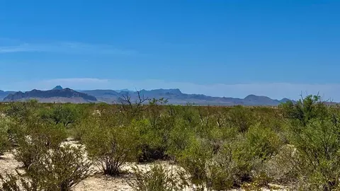 G438 Red Dawg Road, Terlingua, TX 79852
