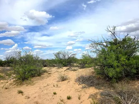 tbd Sands St, Imperial, TX 79743