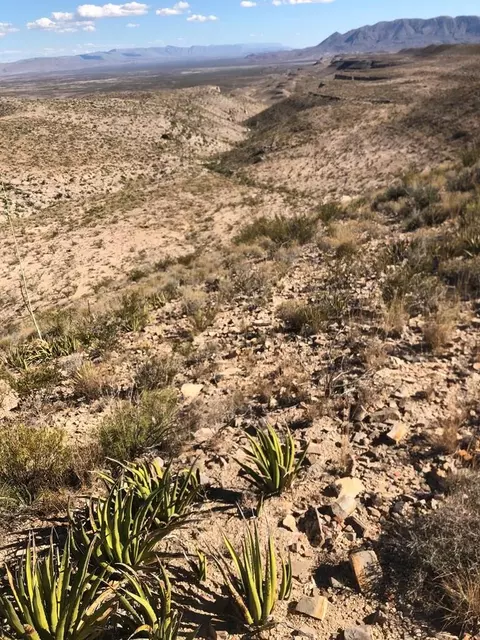 6844 NW Cedar Springs Rd, Terlingua, TX 79852