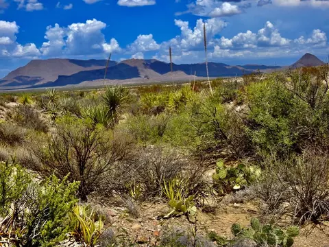 4803 Evening Star # B, Terlingua, TX 79852