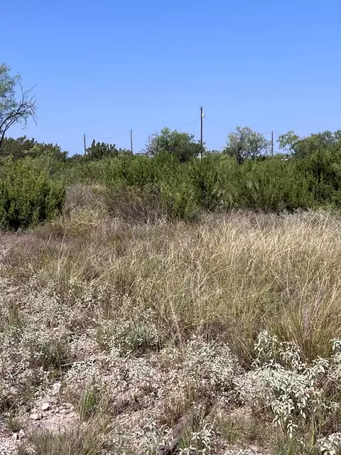 21008 Frank Rd, Paint Rock, TX 76866