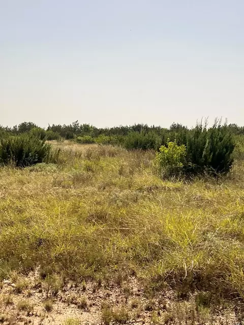 0 Fm 1929, Paint Rock, TX 76866