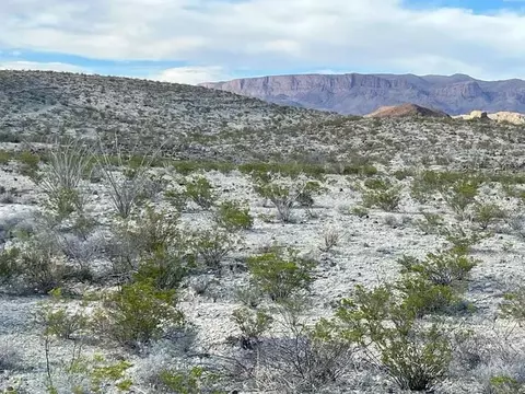 19795 Reimers Rd, Terlingua, TX 79852