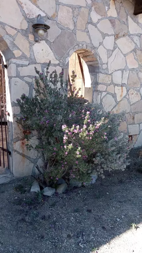 Exterior - 1998 Nodeerhere Rd, Terlingua, TX 79852 photo 19 of 22
