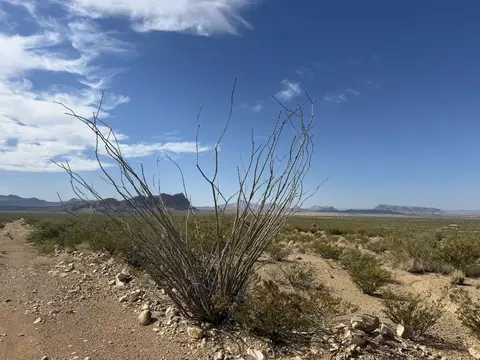 420 Trailer Rd, Terlingua, TX 79852 photo 6