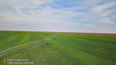 tbd County Rd 335, Plains, TX 79355