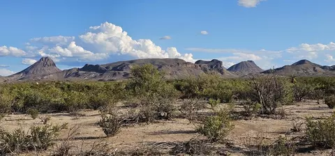 403 Este Rd, Terlingua, TX 79852