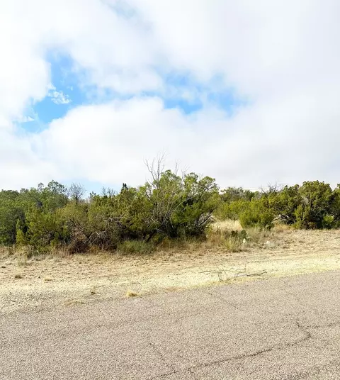 2604 Cactus, Big Spring, TX 79720 photo 1