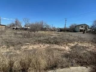 511 Abrams, Big Spring, TX 79720 photo 1