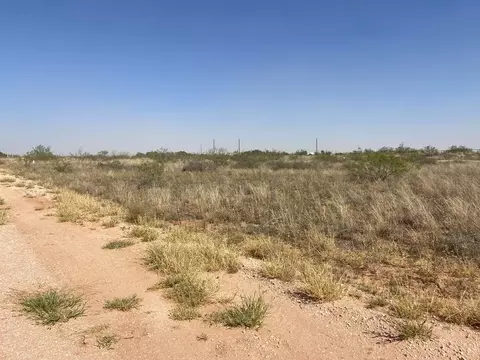 Lot 10E County Rd 149 #10, Midland, TX 79709