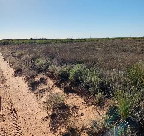tbd County Rd 411, Seminole, TX 79360