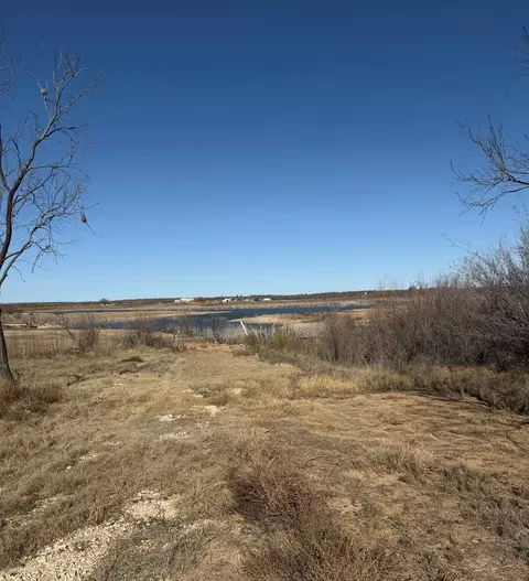 0 Lcr 175, Colorado City, TX 79512