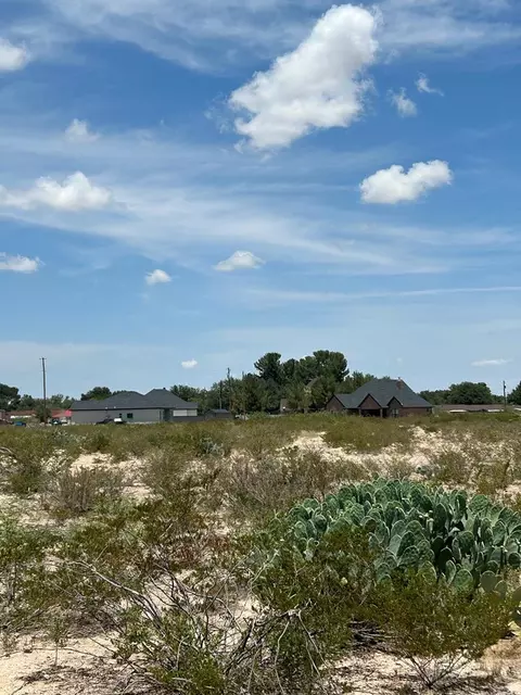 0 Hackberry Dr, Fort Stockton, TX 79735