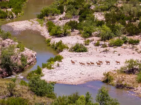 4200 County Rd 411, Ozona, TX 76943
