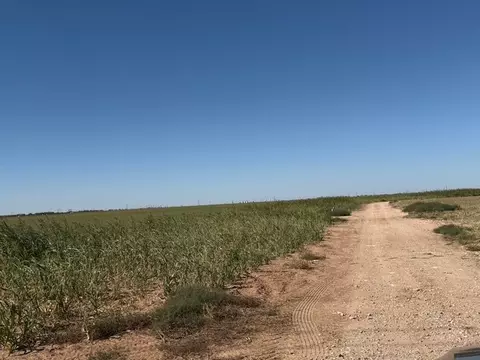 0000 W County Rd 10, Big Spring, TX 79720 photo 15