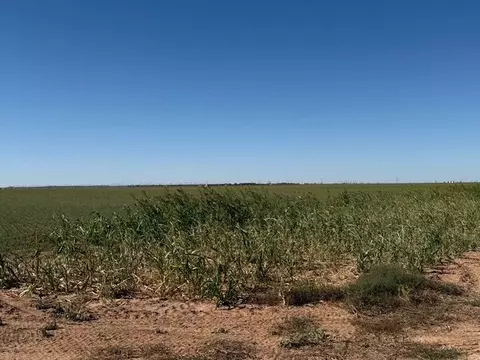 0000 W County Rd 10, Big Spring, TX 79720 photo 14