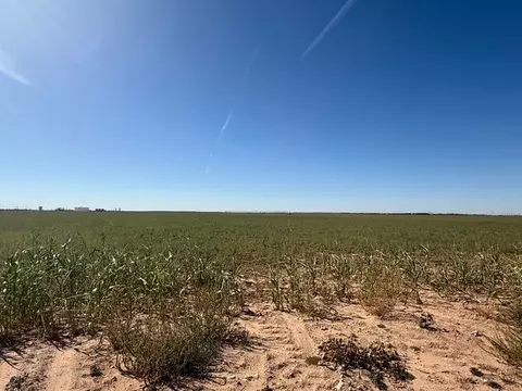 0000 W County Rd 10, Big Spring, TX 79720 photo 18