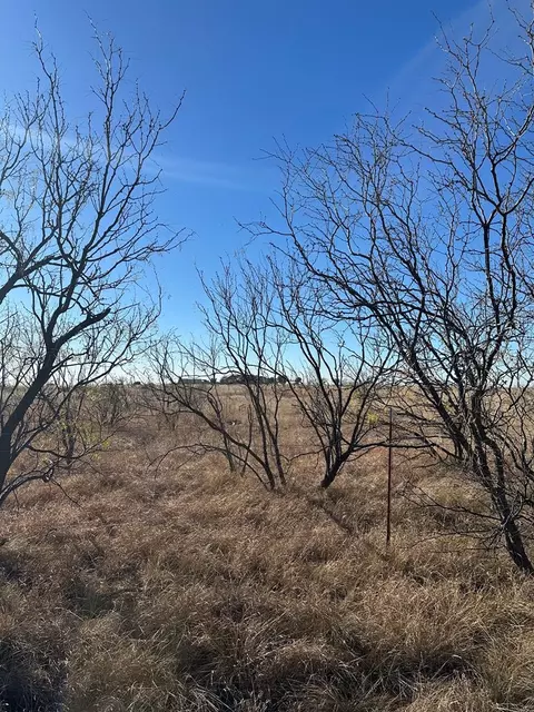 5536 Ponderosa Dr, Snyder, TX 79549