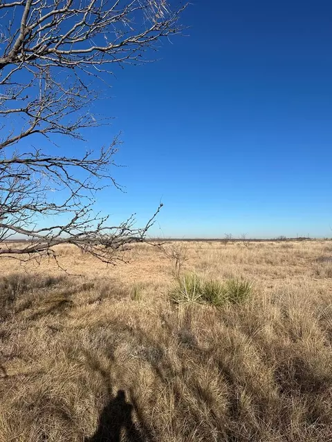 000 Round Top Rd, Snyder, TX 79549
