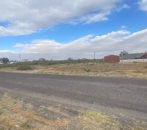 1406 N Eva Ave, Monahans, TX 79735