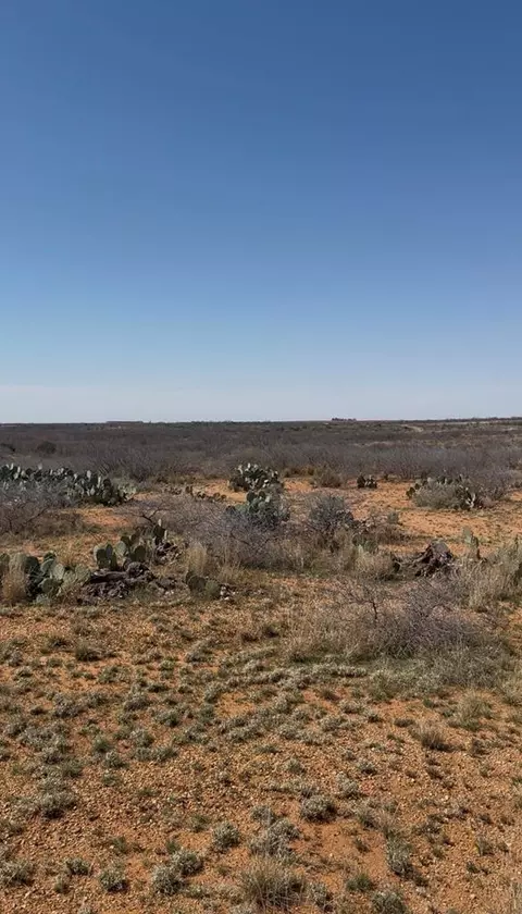 02 Fm 2319, Colorado City, TX 79512